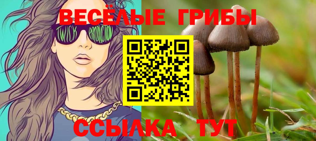 Псилоцибиновые грибы мицелий Ижевск